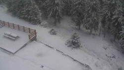 Přístup na běžeckou trať