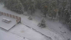 Přístup na běžeckou trať