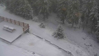 Snímek 18.11.2025 v 10:15