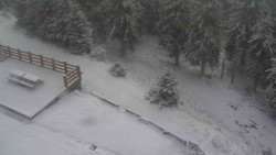 Přístup na běžeckou trať