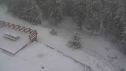 Přístup na běžeckou trať