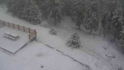 Přístup na běžeckou trať