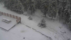 Přístup na běžeckou trať