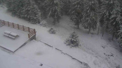 Přístup na běžeckou trať