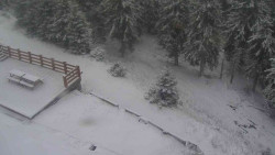 Přístup na běžeckou trať