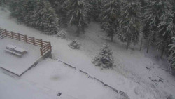 Přístup na běžeckou trať