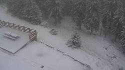 Přístup na běžeckou trať