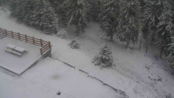 Přístup na běžeckou trať