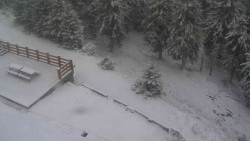 Přístup na běžeckou trať