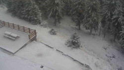 Přístup na běžeckou trať