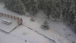 Přístup na běžeckou trať