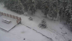 Přístup na běžeckou trať