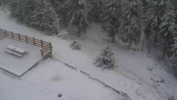 Přístup na běžeckou trať