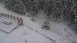 Přístup na běžeckou trať