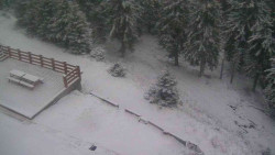 Přístup na běžeckou trať