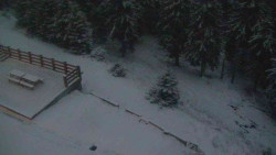 Přístup na běžeckou trať