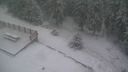 Přístup na běžeckou trať