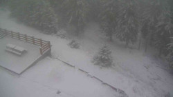 Přístup na běžeckou trať