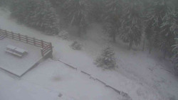 Přístup na běžeckou trať