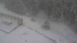 Přístup na běžeckou trať