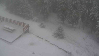 Snímek 19.11.2025 v 07:45