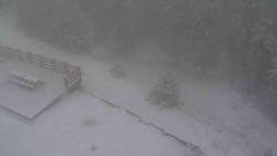 Přístup na běžeckou trať