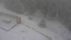 Přístup na běžeckou trať