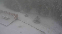 Přístup na běžeckou trať