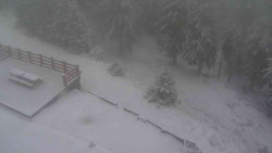 Přístup na běžeckou trať