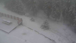 Přístup na běžeckou trať