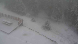 Přístup na běžeckou trať