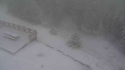 Přístup na běžeckou trať