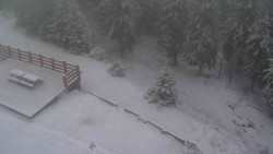 Přístup na běžeckou trať