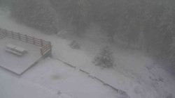 Přístup na běžeckou trať