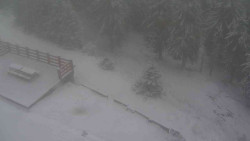 Přístup na běžeckou trať