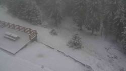 Přístup na běžeckou trať