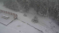 Přístup na běžeckou trať