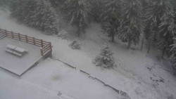 Přístup na běžeckou trať