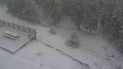 Přístup na běžeckou trať