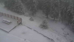 Přístup na běžeckou trať