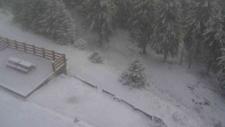 Přístup na běžeckou trať