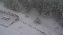 Přístup na běžeckou trať