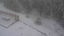 Přístup na běžeckou trať