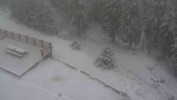 Přístup na běžeckou trať