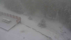 Přístup na běžeckou trať