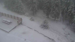 Přístup na běžeckou trať