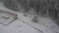 Přístup na běžeckou trať