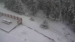 Přístup na běžeckou trať