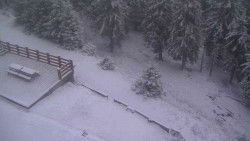 Přístup na běžeckou trať