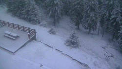 Přístup na běžeckou trať